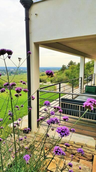La Maison De L'Ecu : Charme Et Vue Incroyable Бон Экстерьер фото